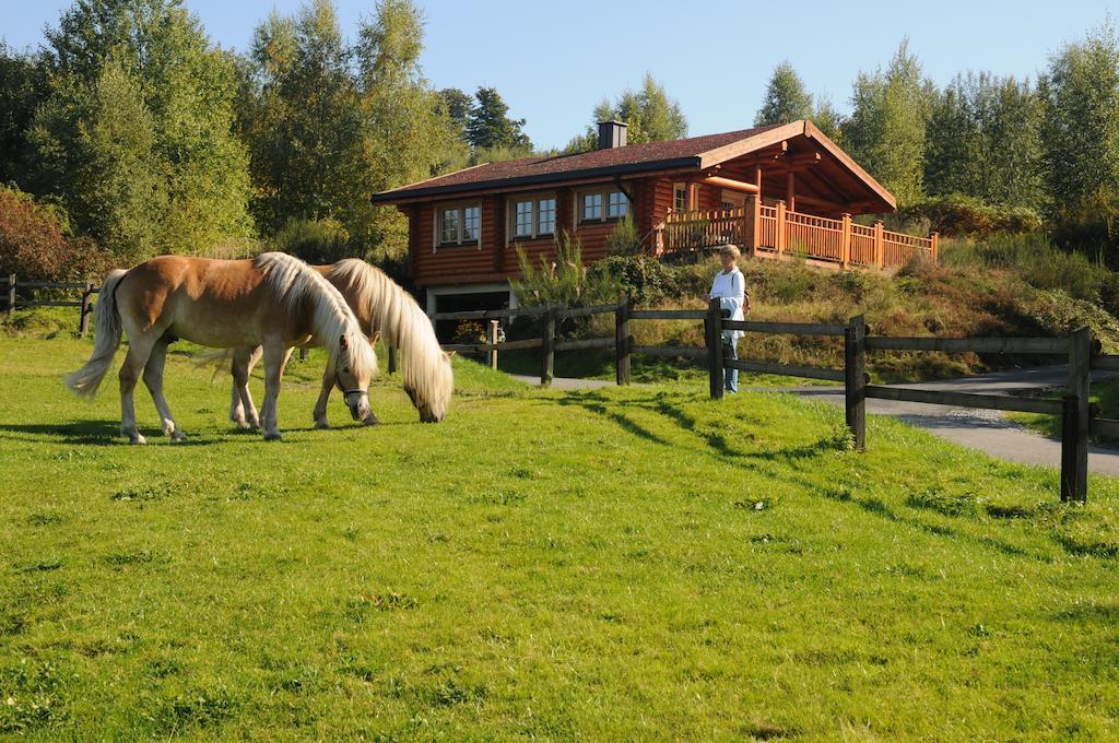 Hotelanlage Country Lodge Арнсберг Екстер'єр фото